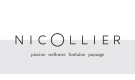 Logo Nicollier Group SA