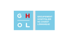 Logo Groupement hospitalier de l’Ouest lémanique (GHOL)