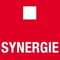 Logo Synergie Suisse SA