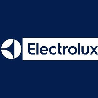 Logo Electrolux AG