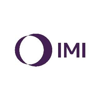 Logo IMI