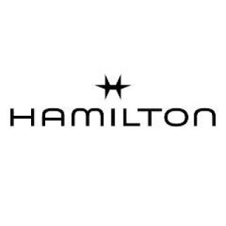 Logo Hamilton International Ltd