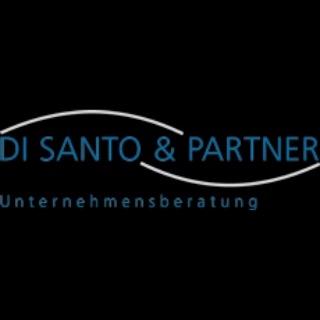 Di Santo & Partner GmbH